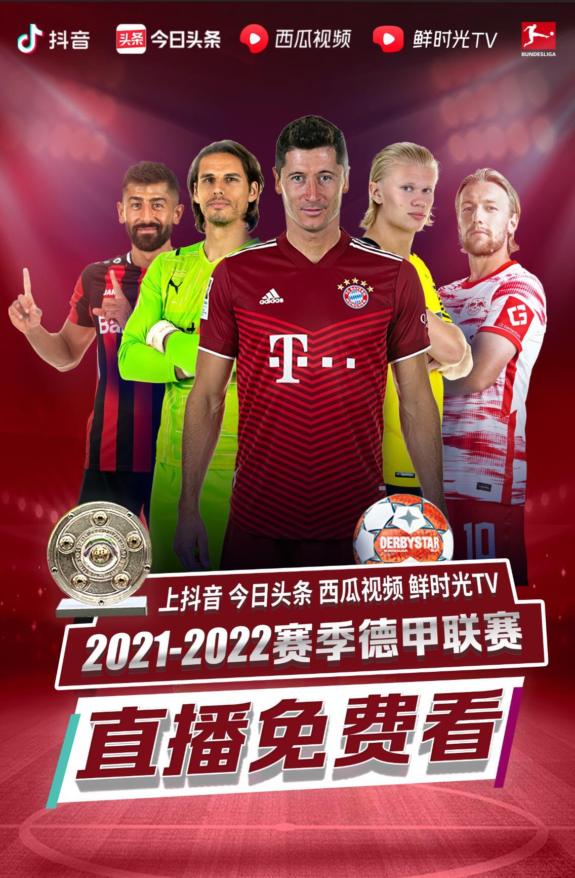 笼式网球看