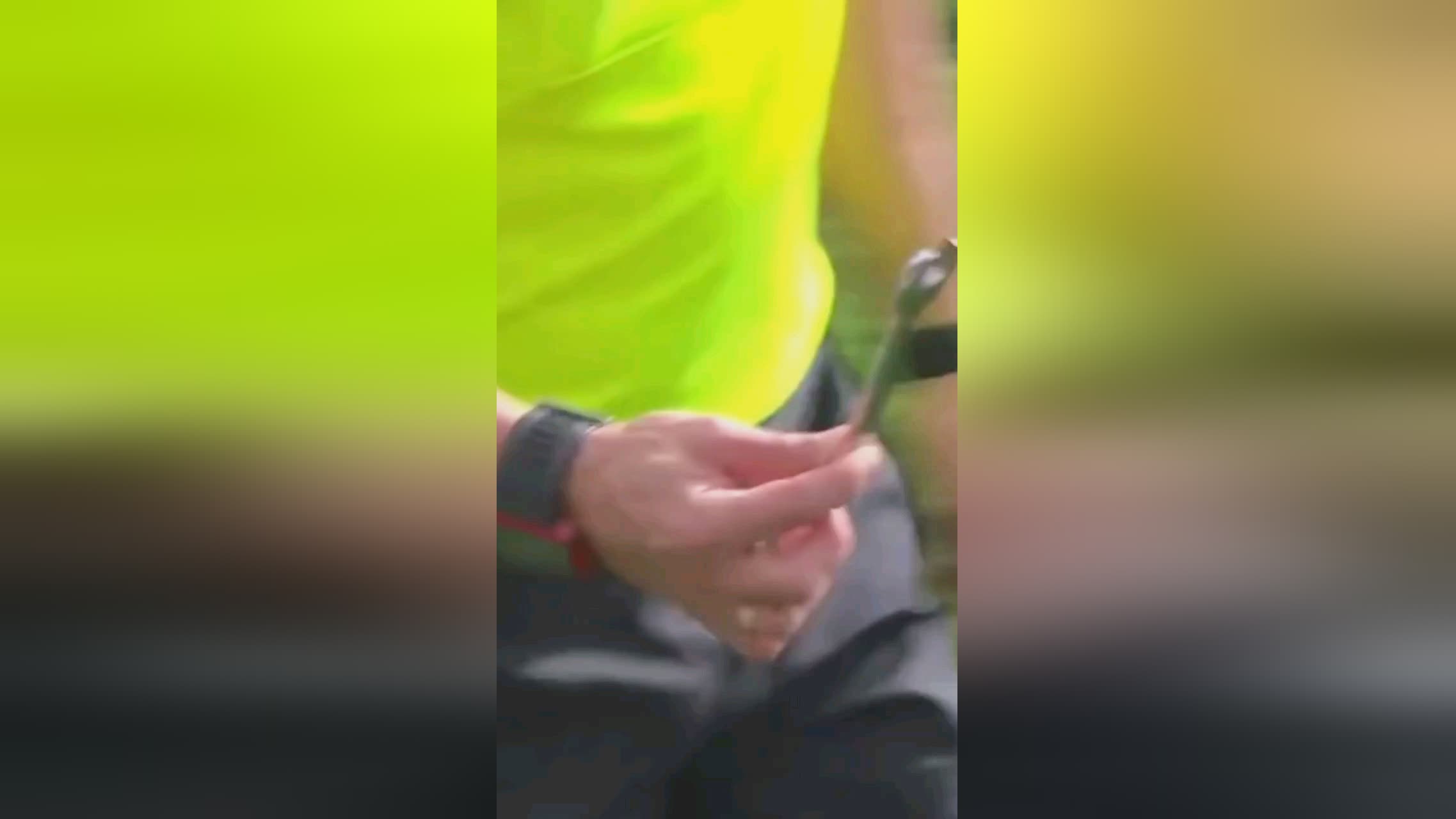 的掌控这